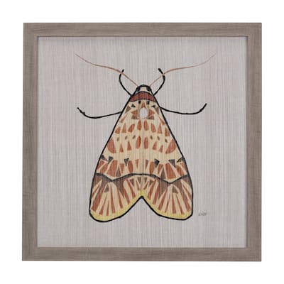 Moth I Framed Art Print