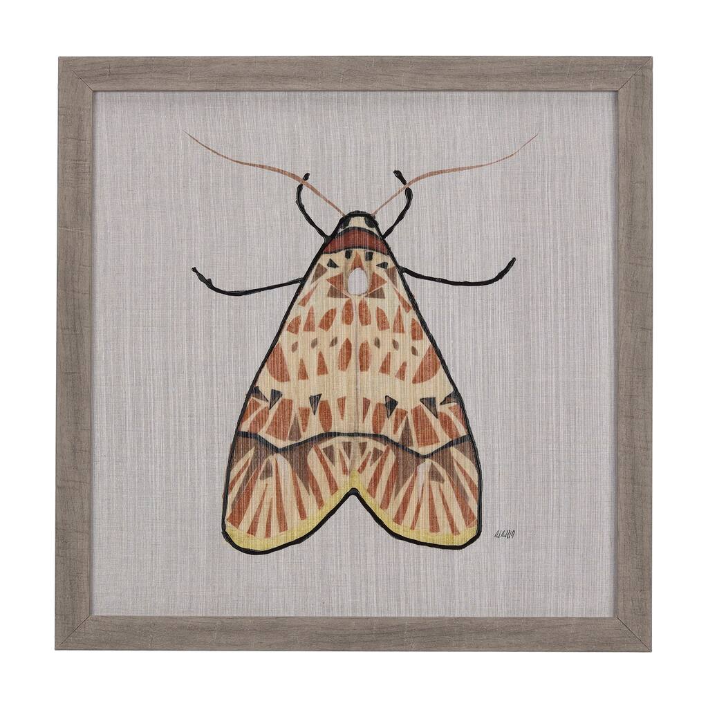 Moth I Framed Art Print