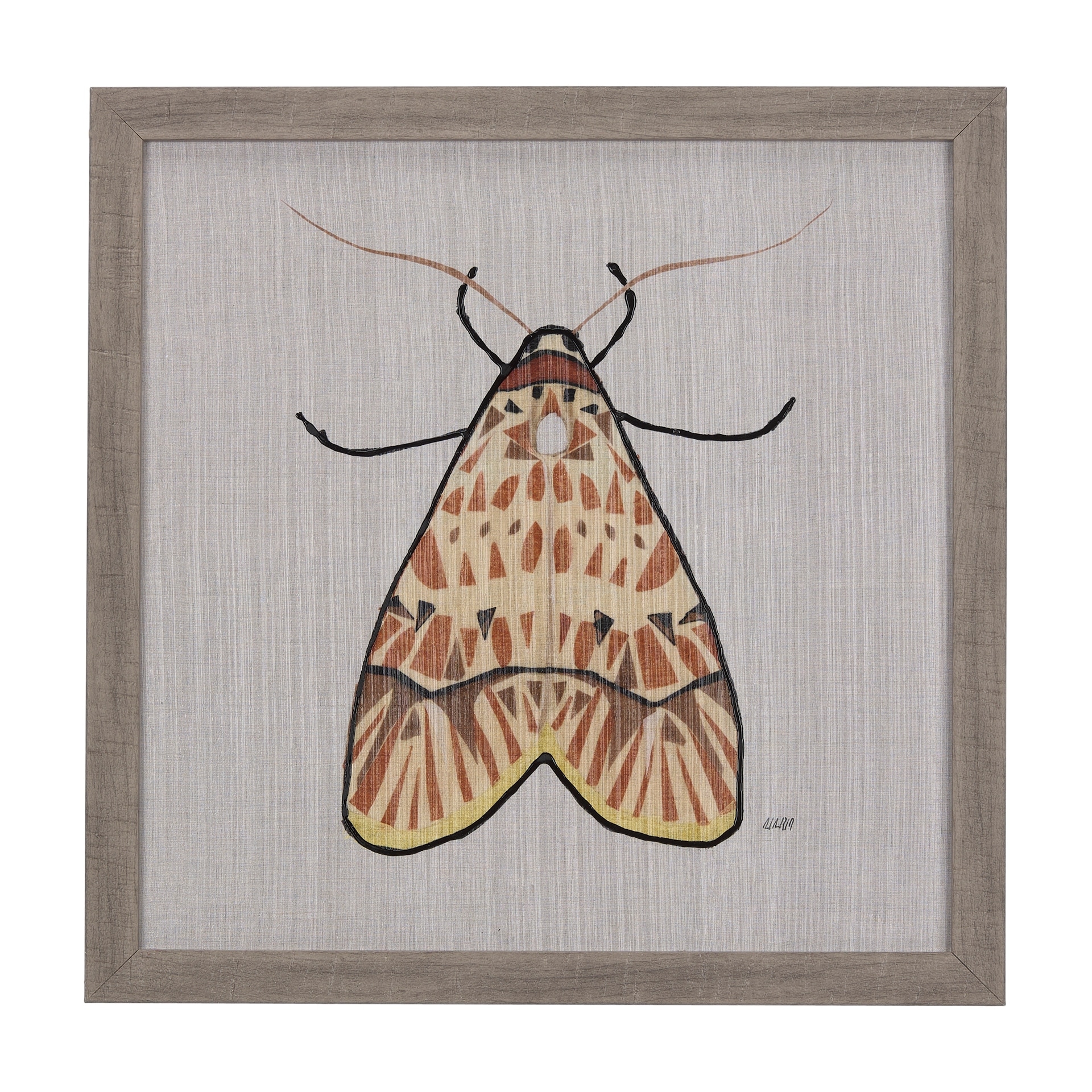 Moth I by Mercana Studio a Hand Embellished Textured Framed Art Print