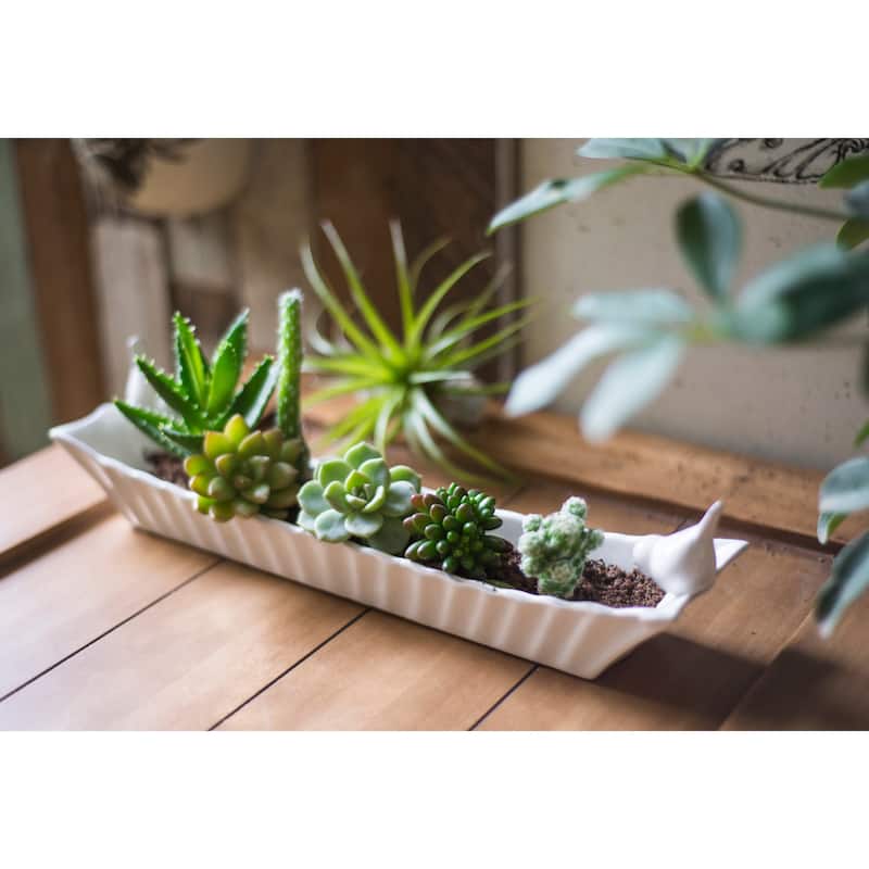 Long White Ceramic Cracker Dish with Two Birds