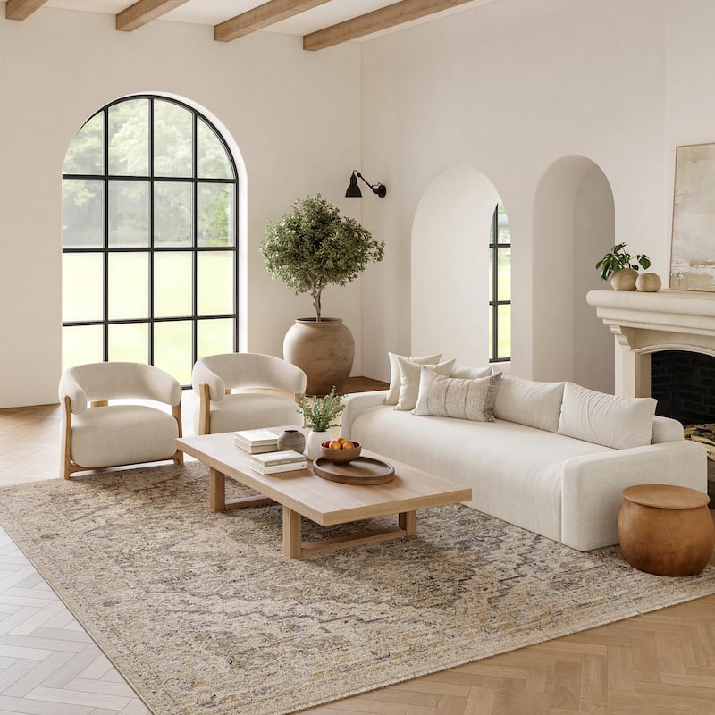 Nourison Nyle Boho Vintage Ivory Taupe Area Rug