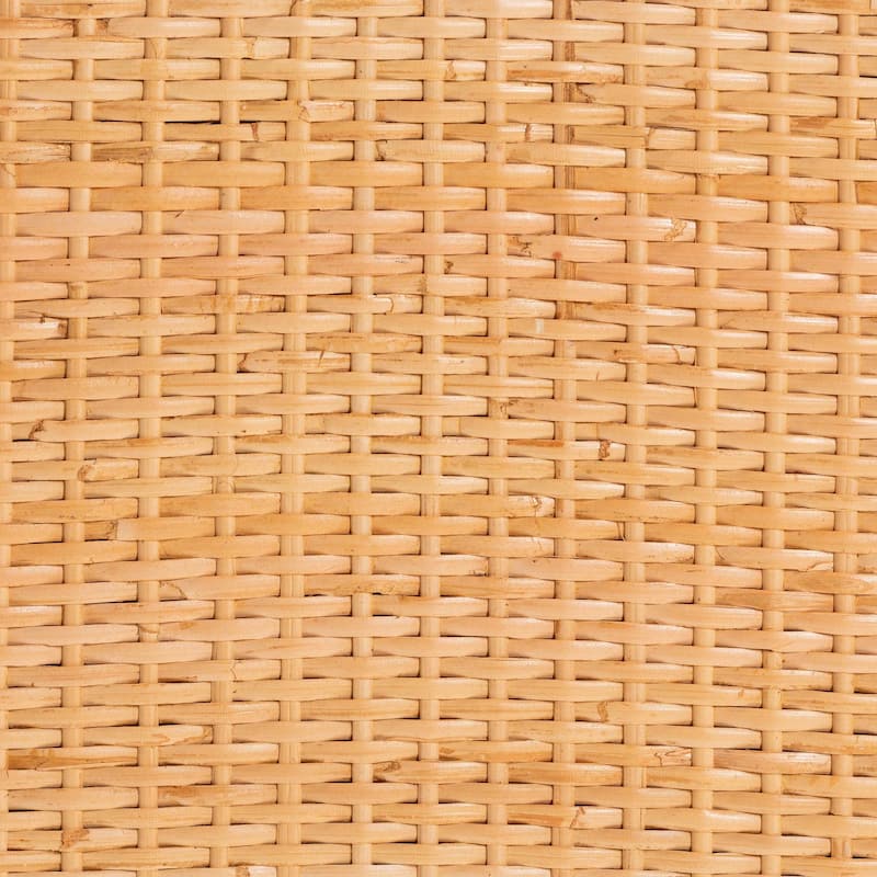 Vaere Modern Bohemian Natural Brown Rattan and Mahogany Wood Storage Cabinet