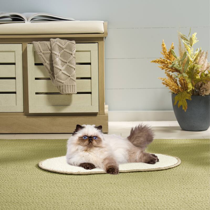 SAFAVIEH Home Sisal Small Boucle Weave Cat Scratch Mat - Ivory - 12" W x 20" L