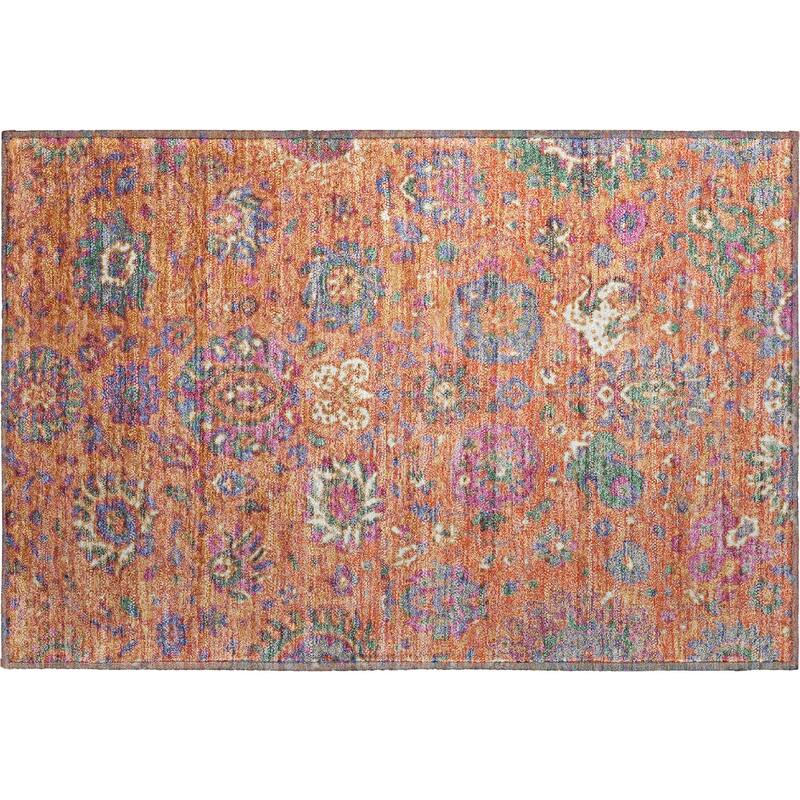 Premium Washable Super Soft Traditional Global Mayfield Rug