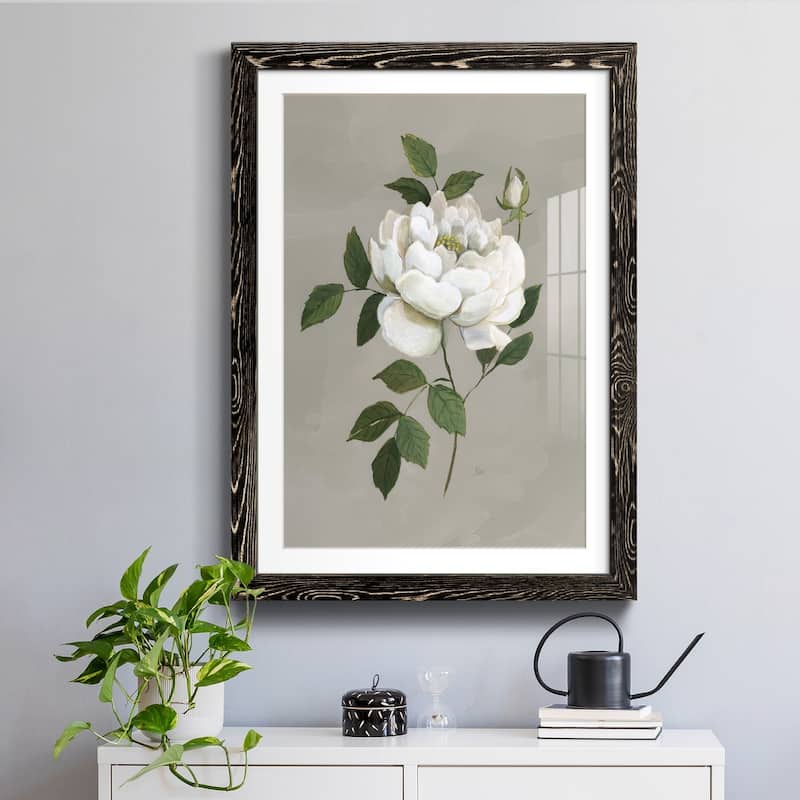 Botanical Rose-Premium Framed Print - Ready to Hang