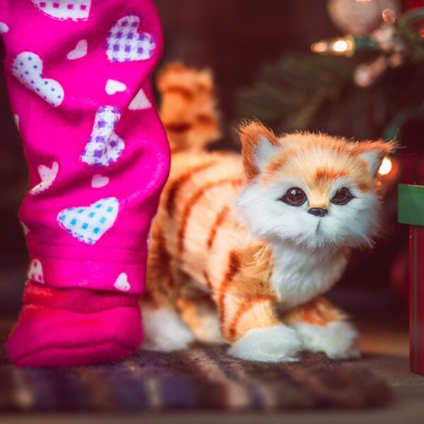 american girl kitty