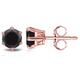 Option Rose