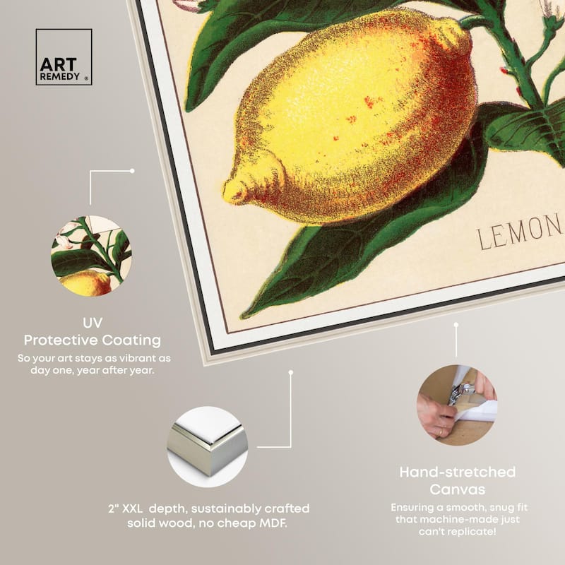 Lemon Canvas by Art Remedy