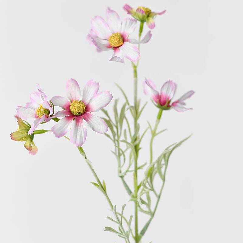 Silk Decorative Artificial Starry Sky Cosmos(Pack of 1 Branch)