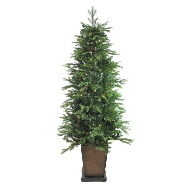 6 Pre Lit Potted Oregon Noble Fir Slim Artificial Christmas Tree Warm White Led Lights 6 Foot On Sale Overstock 25574300 Frequent special offers and discounts.all products from flocked slim pre lit christmas tree category are shipped worldwide with no additional fees. usd