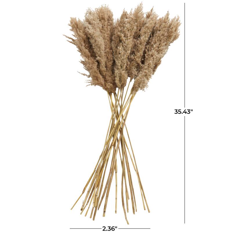 Brown Dried Plant Pampas Home Decor Natural Foliage with Long Stems