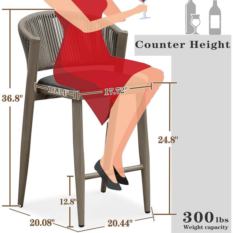 PURPLE LEAF Outdoor Counter Height Bar Stool Set of 2 Outdoor Patio Aluminum Chairs with Cushions