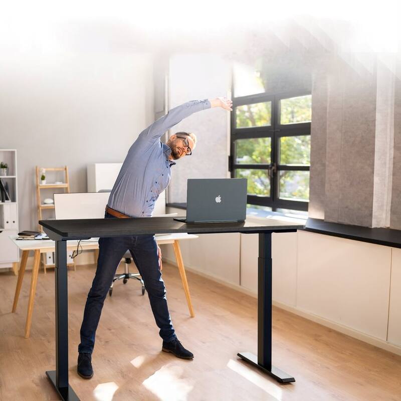 Rise Up Electric Standing Desk Dual Motor 60x30 solid bamboo desktop