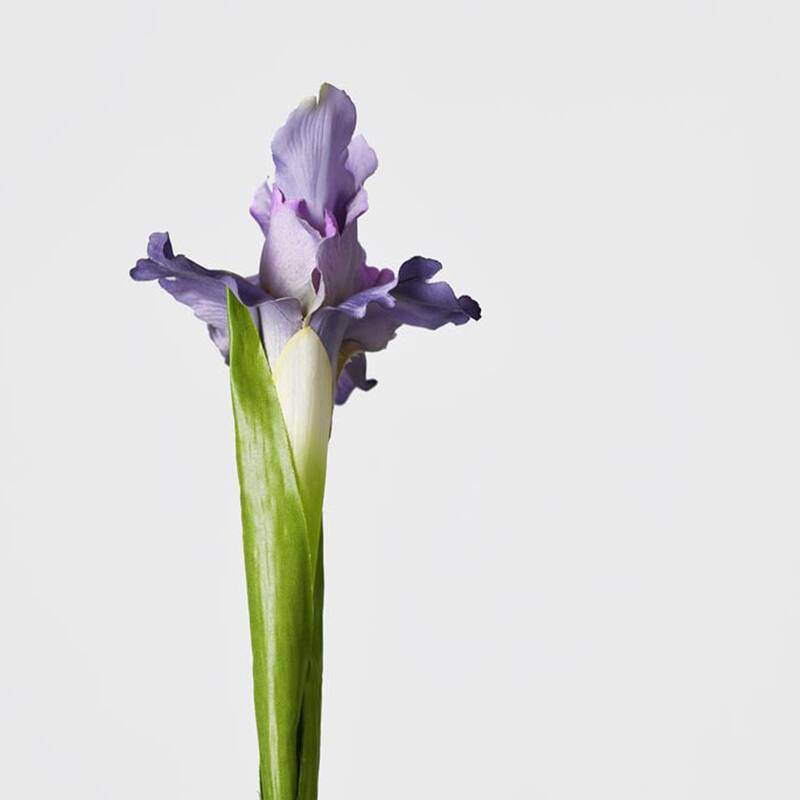 Purple Decorative Artificial Iris Flower(Pack of 1 Branch)