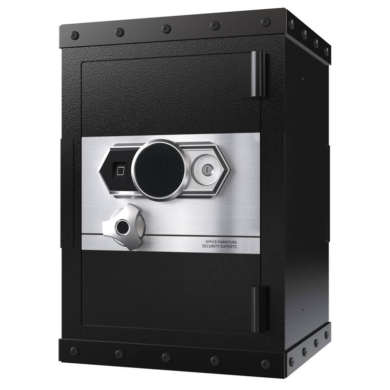 Roomfitters 24.4 Inch Biometric Security Safe with Fingerprint Lock and Hidden Compartment, Carbon Steel, Black