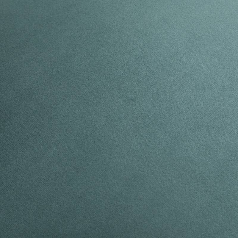 Modern Contempoary Velvet Dining Chair Set of 2 with Metal Frame Legs and Back Pull