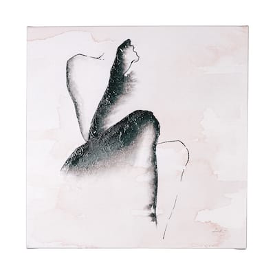 Andromedae Light IV (26 x 26) Canvas Art Print