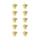 Option Brushed Gold