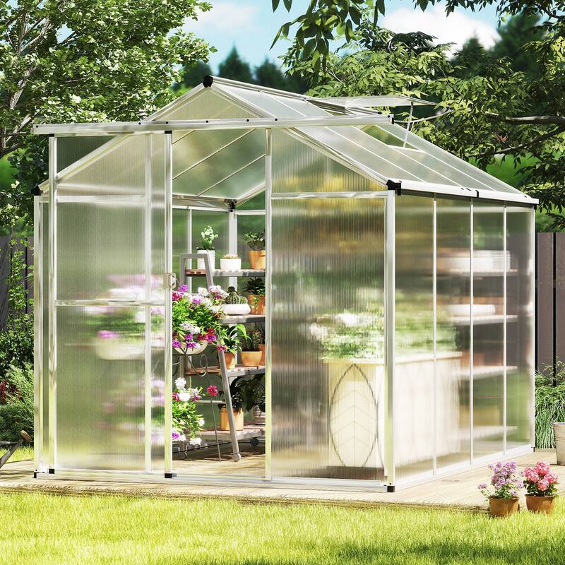 Large Walk-in Green House with Rain Gutters and Polycarbonate Panels-6 FT