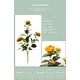 preview thumbnail 6 of 9, Artificial Tree 2 Pack, 36"Faux Camellia Plant in Pot, Greenery Potted Plant for Indoor Outdoor Office Home Porch Decor
