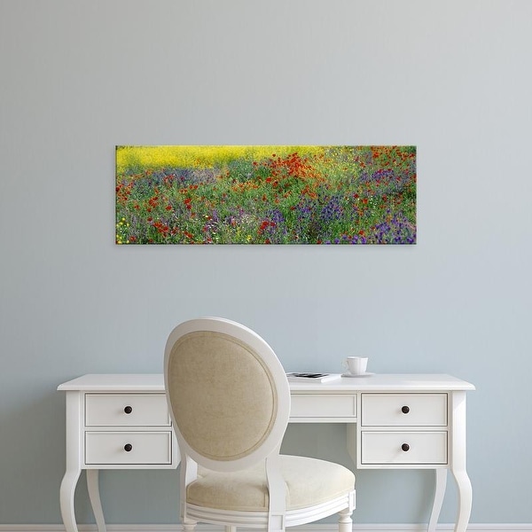 Easy Art Prints Panoramic Images's 'Poppies Spain' Premium Canvas Art