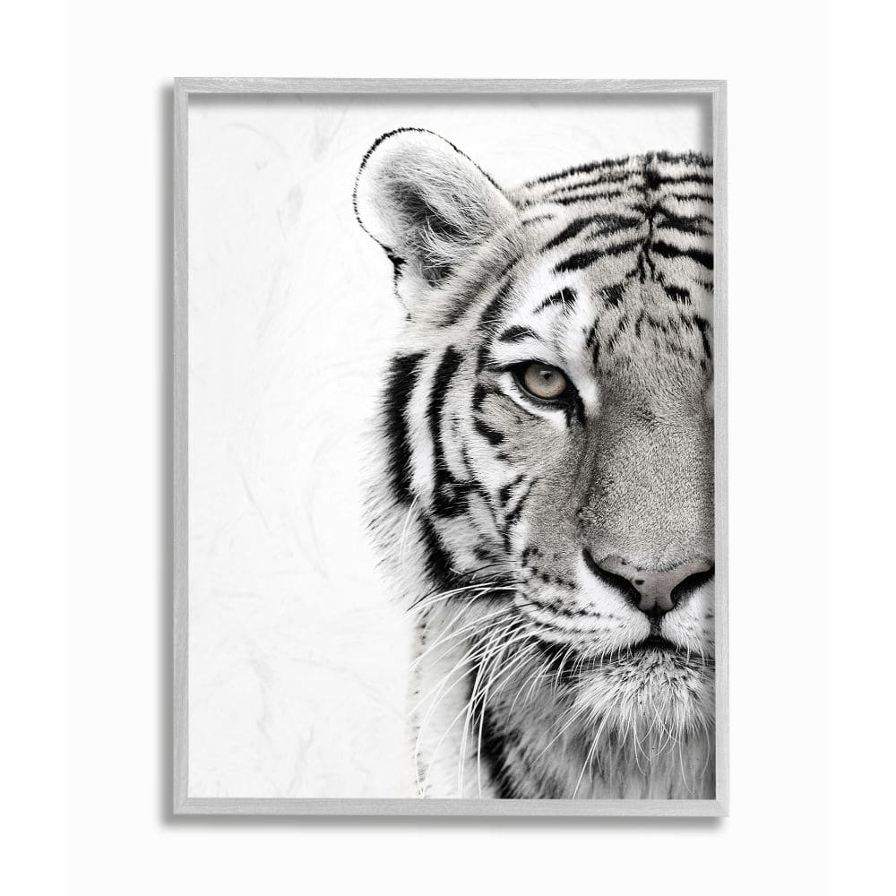 Stupell White Tiger Close Up Black and White Photography Framed Giclee Texturized Art by Design Fabrikken