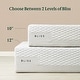 preview thumbnail 8 of 6, Priage by ZINUS 12 Inch Bliss Memory Foam Mattress