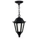 preview thumbnail 1 of 2, Hinkley Lighting 1 Light Outdoor Lantern Pendant from the Manor House