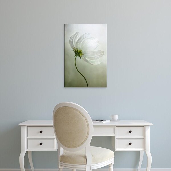 Easy Art Prints Mandy Disher's 'Cosmos Charisma' Premium Canvas Art