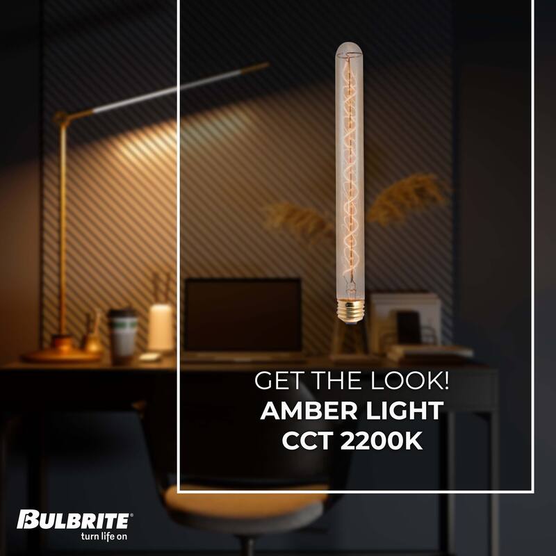 Bulbrite Pack of (4) Dimmable Antique Nostalgic Filament Incandescent Bulb