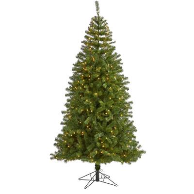 7' Pre-Lit Springfield Artificial Christmas Tree, Warm Clear LED Lights - 7 Foot