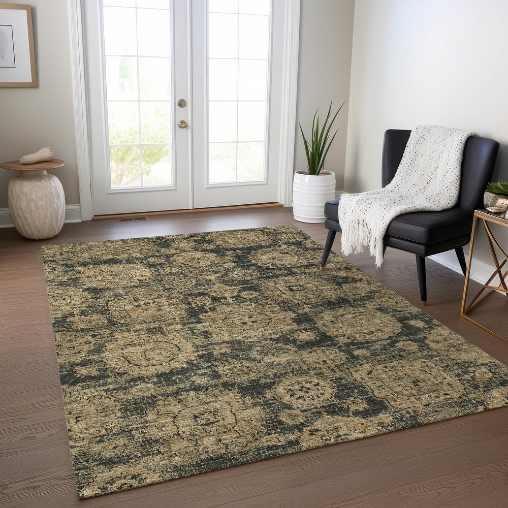 Machine Washable Indoor/ Outdoor Chantille Vintage Persian Rug