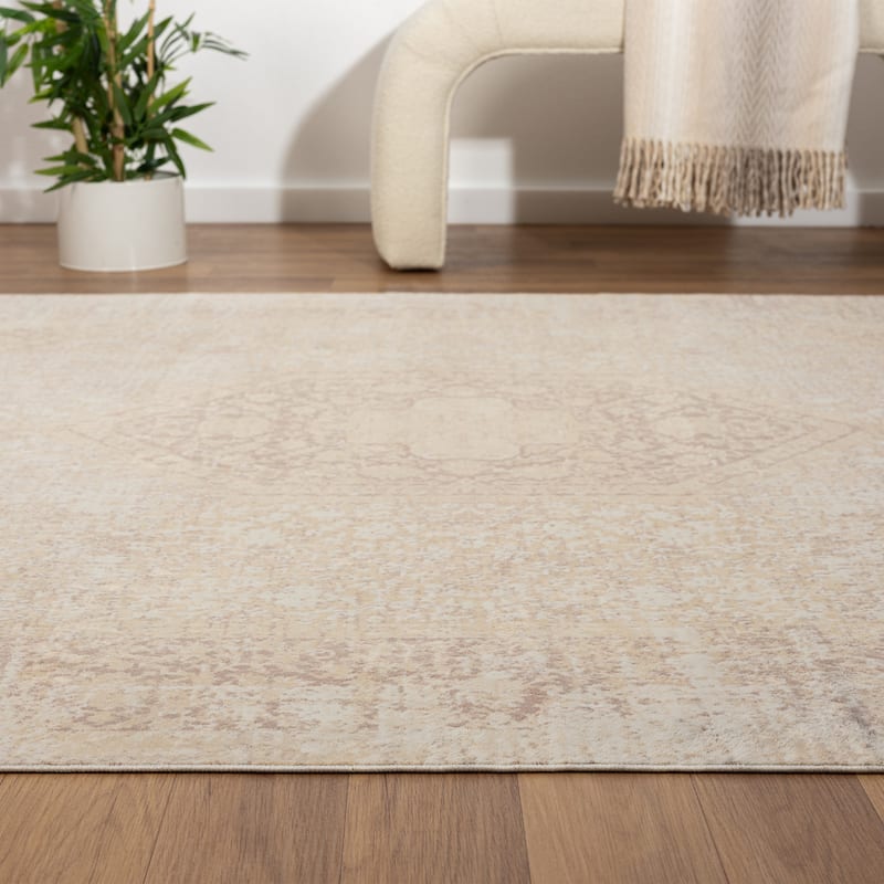 Sevita Traditional Bordered/Medallion Indoor Area Rug