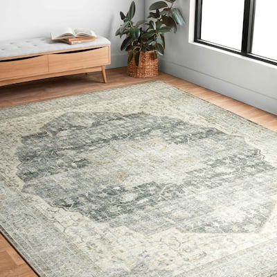 Alexander Home Leanne Printed Shabby Chic Medallion Vintage Area Rug