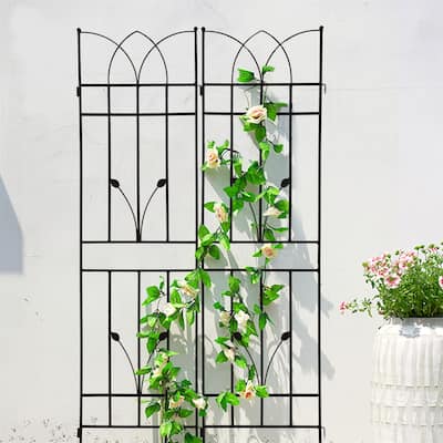 2 Pack Metal Garden Trellis