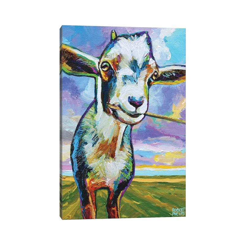 iCanvas "Theo The Goat In The Field" by Robert Phelps Canvas Print