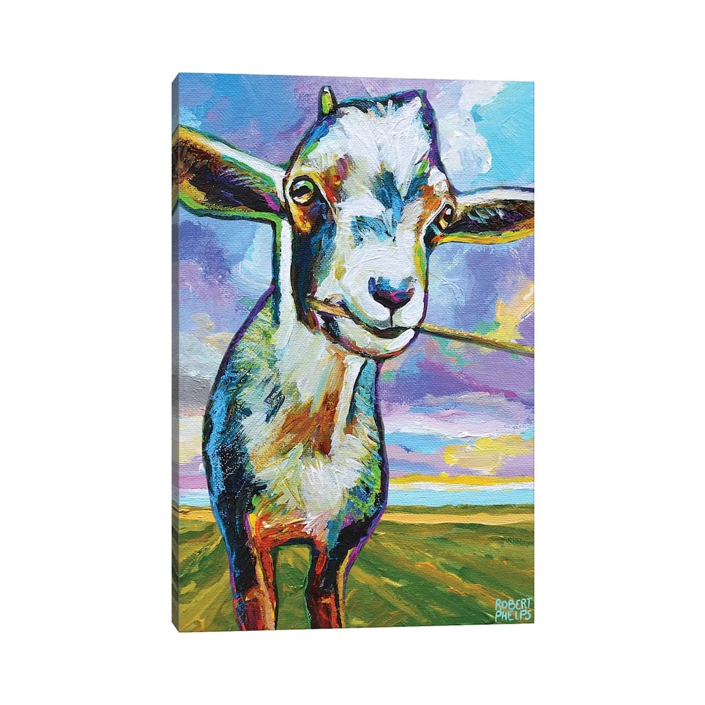 iCanvas "Theo The Goat In The Field" by Robert Phelps Canvas Print