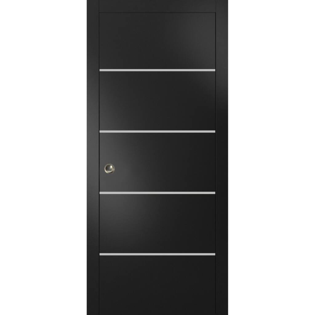 French Pocket Door 18x80 with Planum 0210 Matte Black with Kit Trims Rail