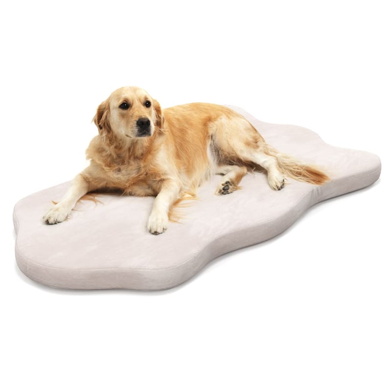 Orthopedic Dog Bed with Memory Foam Support for Large Dogs - 43"x 26" x 2"(L x W x H) - Beige