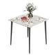 preview thumbnail 21 of 22, Modern Slate Kitchen Dining Table with Sintered Stone Top Metal Legs (Table Only) - 31.5x31.5x30 inch