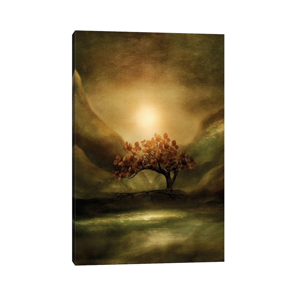 iCanvas "Advice From A Tree" by Viviana Gonzalez Canvas Print