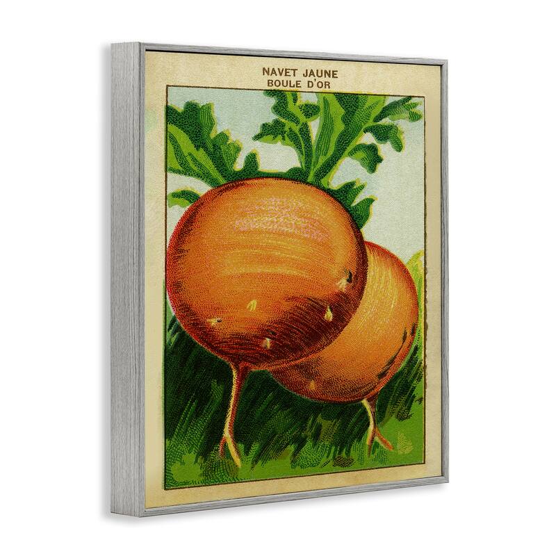 Stupell Country Vintage Onions Framed Giclee Art Design By Lil' Rue