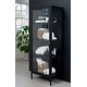 preview thumbnail 3 of 25, Rye Studio Cairyn Modern Glass and Metal Cabinet Single Door