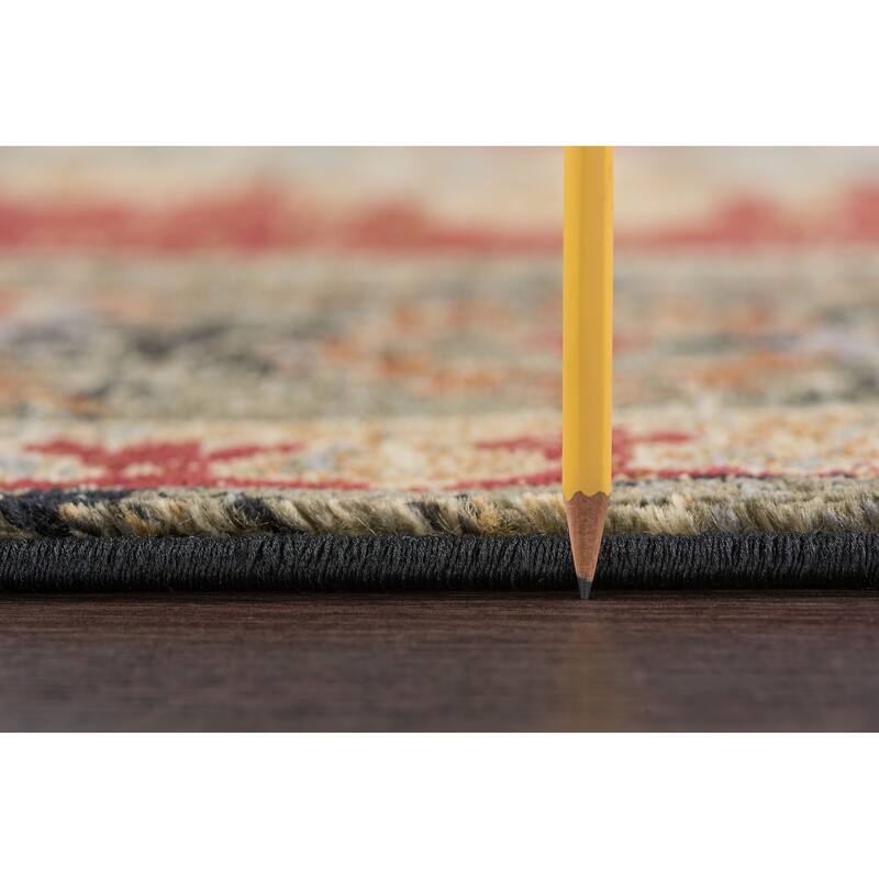 Soho Traditional Medallion Indoor Area Rug