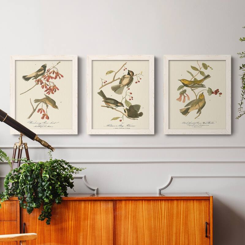 Wandering Rice Bird-Premium Framed Canvas - Ready to Hang - Multi-Color