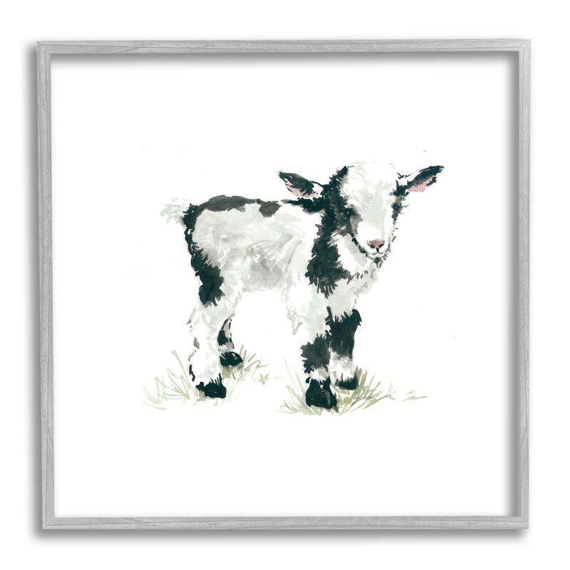 Stupell Baby Farm Lamb Minimal Country Animal over White Framed Wall Art - Black - 24 x 24 - Grey