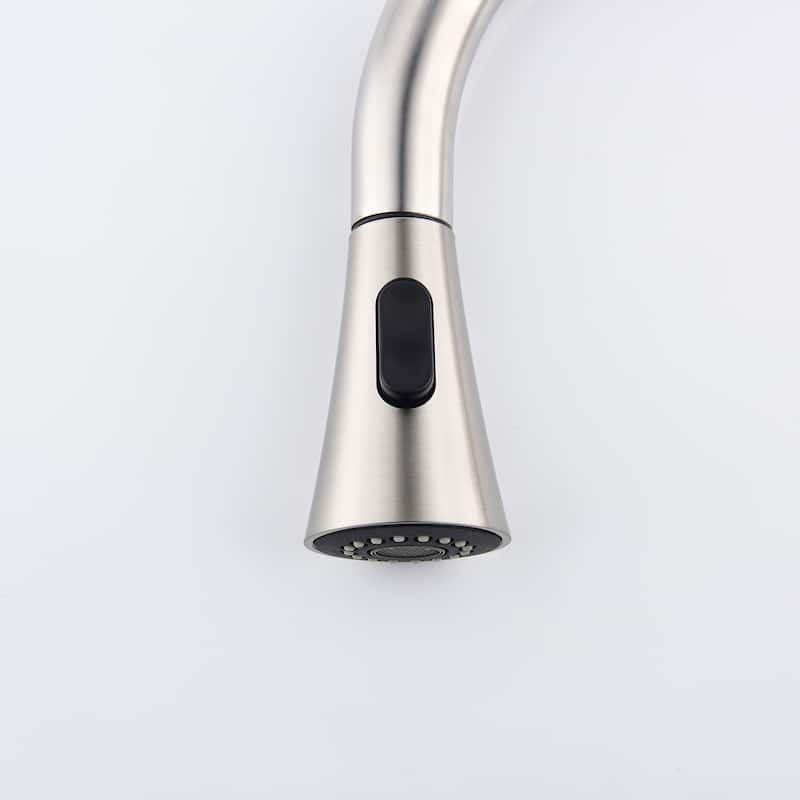 Single Handle Pull out Kitchen Faucet