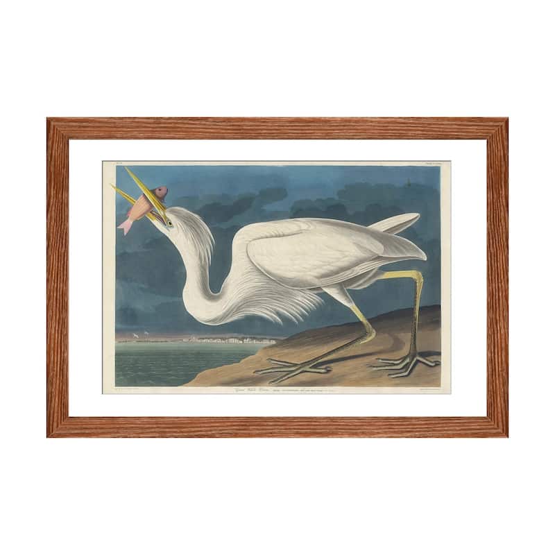 iCanvas "Great White Heron, 1835" by John James Audubon - Walnut - 16x24x1