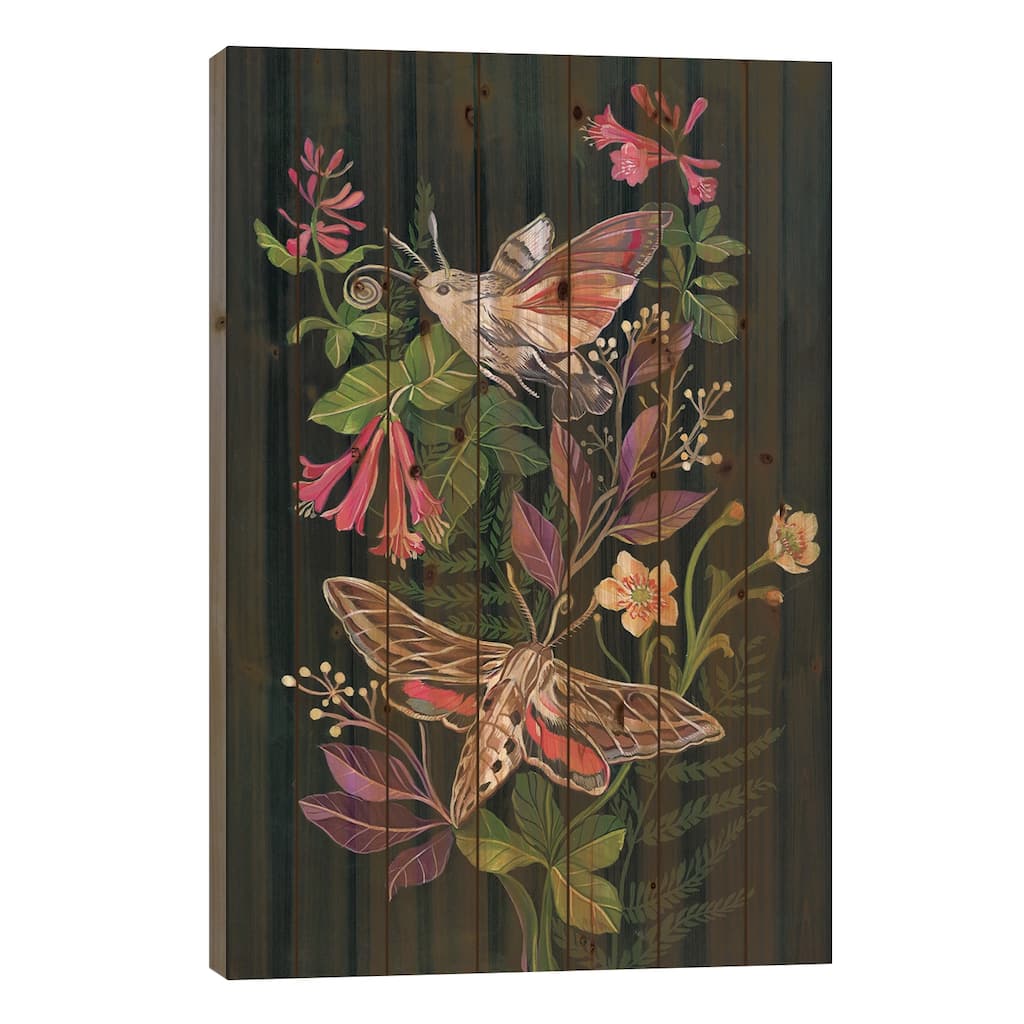 Hummingbird Moth Print On Wood by Clara McAllister - Multi-Color