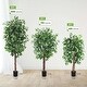 preview thumbnail 5 of 5, Tall Artificial Ficus Tree with Natural Wood Trunk for Indoor/Outdoor Decor